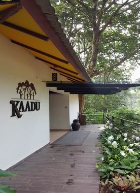 Kaadu - Gate Reception